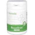 BoostIron (БустАйрон, карбонильное биодоступное железо) — Биологически Активная Добавка к пище (БАД) Santegra (Сантегра), ранее Enrich (Инрич)